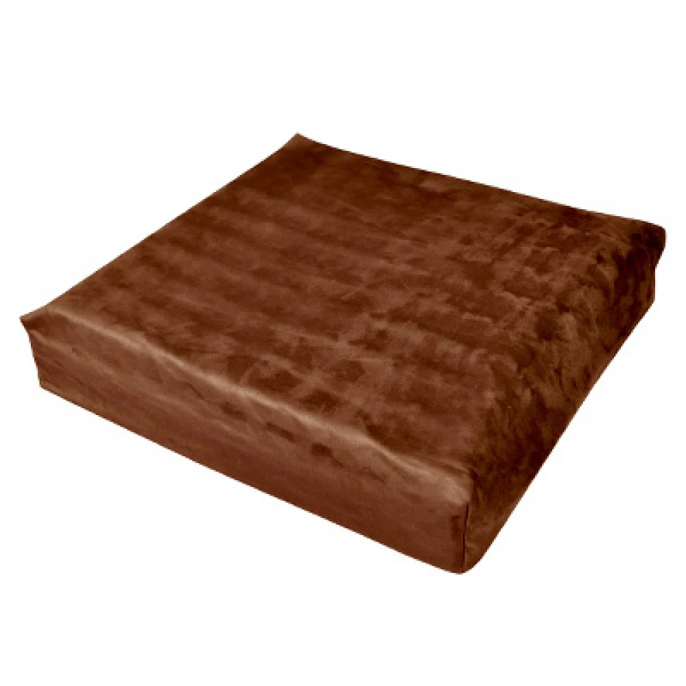 Booster Cushion