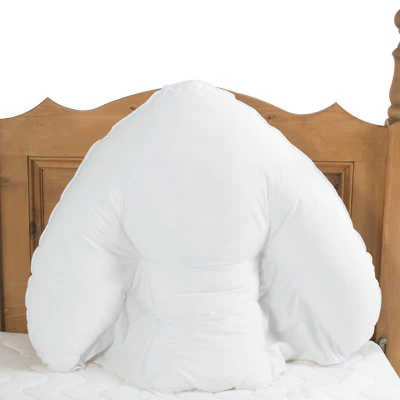 'Batwing' - Shaped Pillow